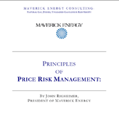 Price Risk PDF